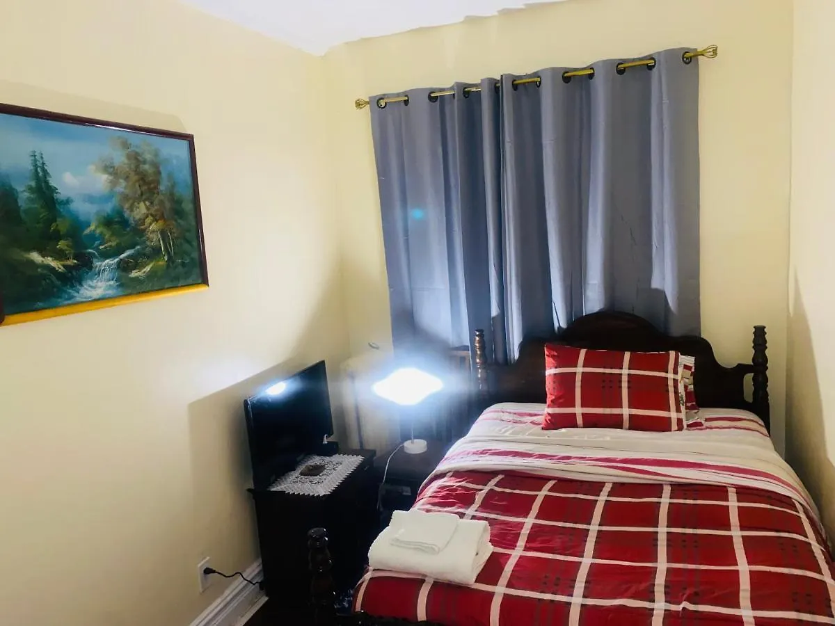 ホームステイ Cozy Comfort In Brooklyn ニューヨーク 米国